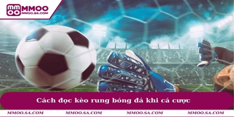 Cách đọc kèo rung bóng đá khi cá cược