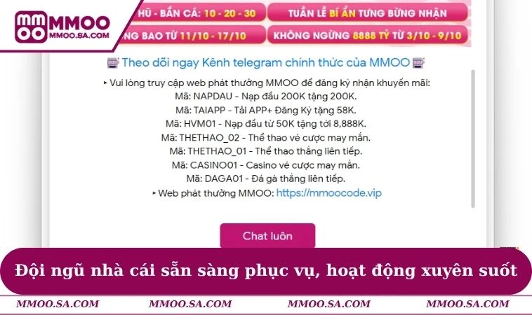 Đội ngũ nhà cái sẵn sàng phục vụ, hoạt động xuyên suốt
