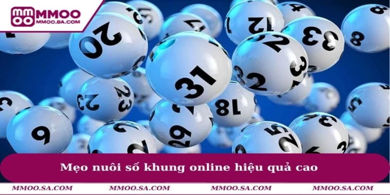 Mẹo nuôi số khung online hiệu quả cao